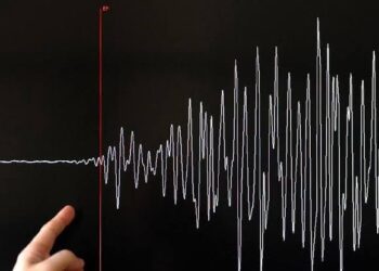 Gempa Magnitudo 4.1 Guncang Lembata, Nusa Tenggara Timur