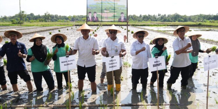 Sleman Jadi Percontohan Kampung Peramalan OPT untuk Kendalikan Hama Tikus