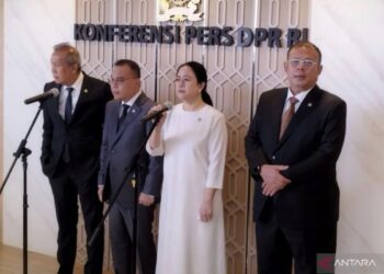 Puan Maharani Desak Rumah Sakit Tingkatkan Pelayanan untuk Cegah Kasus Serupa