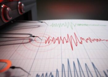 Gempa Magnitudo 3.1 Guncang Wilayah Halmahera Timur
