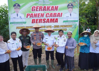 Panen Cabai Serentak di KUPONWAH untuk Kendalikan Inflasi