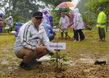 Pemko Padang Panjang Dorong Penghijauan dan Ekonomi Lewat Penanaman Pohon