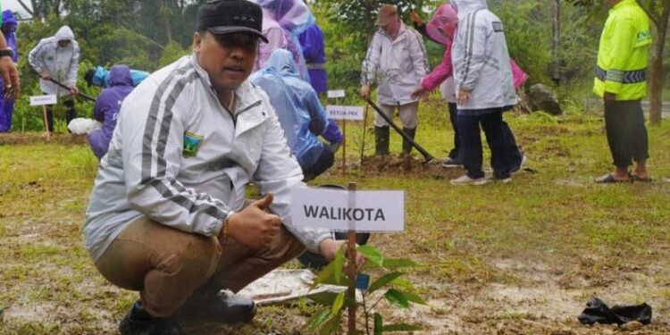 Pemko Padang Panjang Dorong Penghijauan dan Ekonomi Lewat Penanaman Pohon