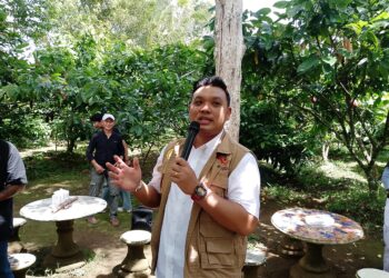 Cau Chocolates Ekspor Perdana 10 Ton ke Pasar Internasional