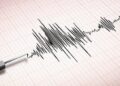 Gempa Magnitudo 4,6 Mengguncang Nias Barat, Sumatera Utara
