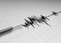 Gempa Magnitudo 3,7 Mengguncang Waibakul, Nusa Tenggara Timur