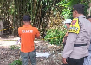 Petugas Polresta Sleman bersama Tim Inafis melakukan olah TKP penemuan mayat bayi di area kebun lapangan Blok 3, Condongcatur, Depok, Sleman, Kamis (25/12/2025)