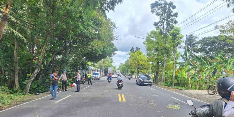 Petugas kepolisian melakukan penanganan di lokasi kecelakaan lalu lintas di Jalan KH Ahmad Dahlan, Wates, Kulon Progo