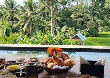 Resto Terra Verte Bali