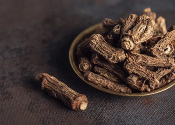 Sarsaparilla: Tanaman Berkhasiat dari Amerika Selatan