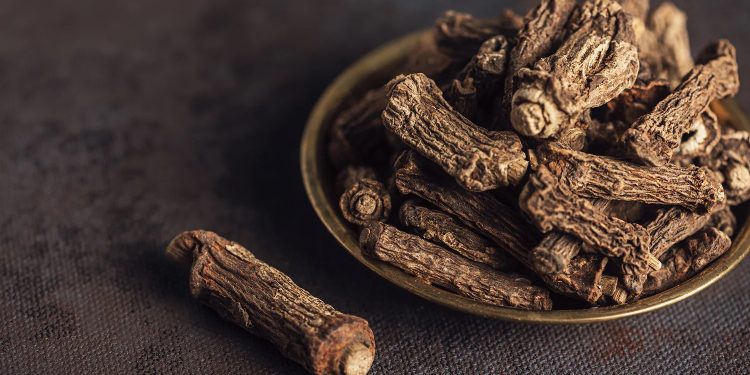 Sarsaparilla: Tanaman Berkhasiat dari Amerika Selatan