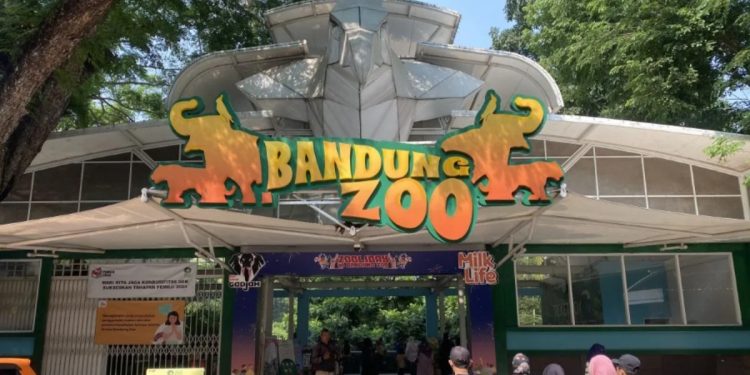 Sri Devi Ditetapkan sebagai Tersangka dalam Kasus Akta Palsu Bandung Zoo