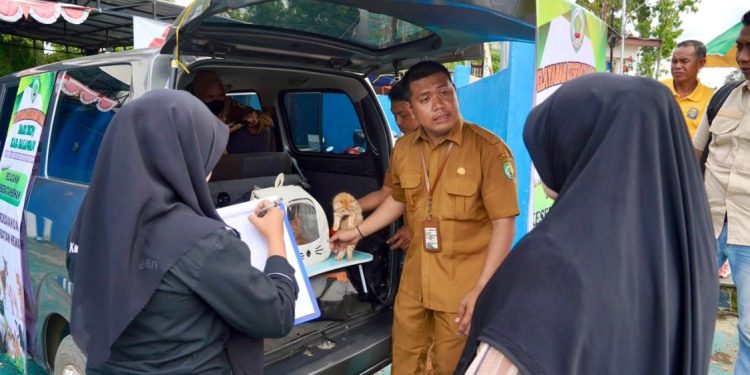 DKP3 Balangan Gelar Layanan Kesehatan Hewan di Pasar Paringin