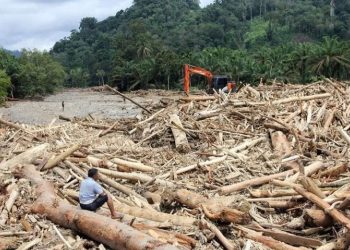 Bareskrim Polri Selidiki Dugaan Pembalakan Liar di Sumatera