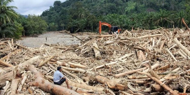 Bareskrim Polri Selidiki Dugaan Pembalakan Liar di Sumatera