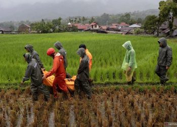 Basarnas Kerahkan Ribuan Personel untuk Pencarian Korban Bencana di Sumatra