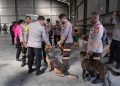 Polda Sumut Gunakan Anjing Pelacak untuk Pencarian Korban Bencana di Tapteng dan Sibolga