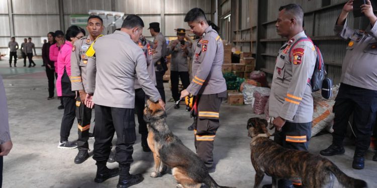 Polda Sumut Gunakan Anjing Pelacak untuk Pencarian Korban Bencana di Tapteng dan Sibolga