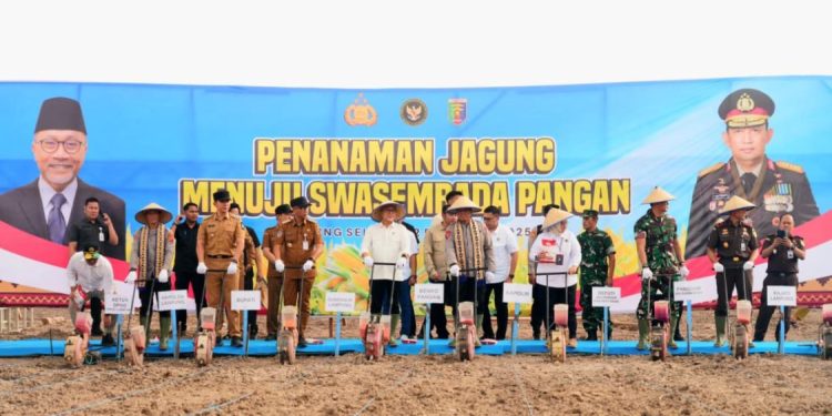 Wakapolri dan Menko Pangan Tanam Jagung di Lampung Selatan untuk Perkuat Ketahanan Pangan
