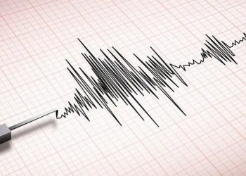 Gempa Magnitudo 4,2 Mengguncang Jayawijaya, Papua