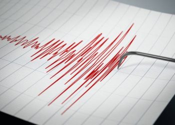 Gempa Magnitudo 3,7 Mengguncang Wilayah Tambrauw, Papua Barat
