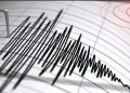 Gempa Magnitudo 5,2 Guncang Wilayah Halmahera Barat