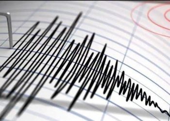 Gempa Magnitudo 5,2 Guncang Wilayah Halmahera Barat