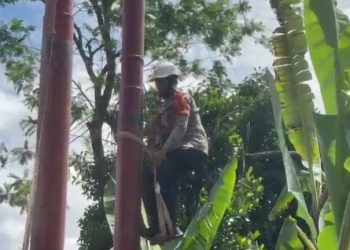 Kapolda Sumbar Pastikan Dukungan Polri untuk Pemulihan Listrik Pascabanjir