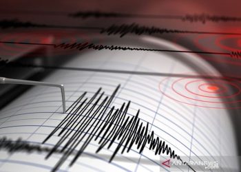 Gempa Magnitudo 3,1 Guncang Wilayah Poso, Sulawesi Tengah