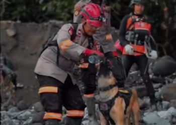 Kesetiaan Anjing Pelacak dan K-9 Handler dalam Misi Penyelamatan