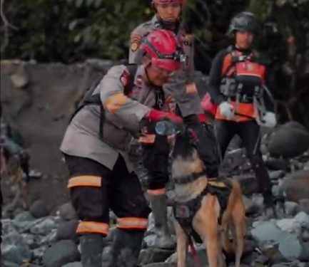 Kesetiaan Anjing Pelacak dan K-9 Handler dalam Misi Penyelamatan
