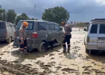 Tim K-9 Polda Aceh Dikerahkan untuk Bantu Pencarian Korban Banjir di Aceh Tamiang