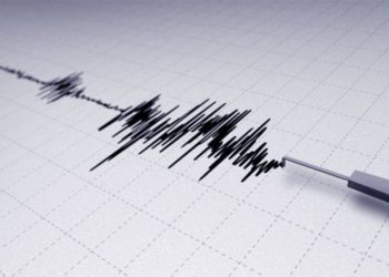 Gempa Magnitudo 3,1 Guncang Wilayah Seram Bagian Timur, Maluku