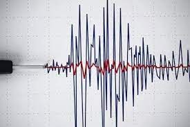 Gempa Magnitudo 3,4 Guncang Wilayah Pesisir Barat Lampung