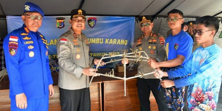 Kapolda NTT dan Komunitas Lakukan Transplantasi Terumbu Karang di Kupang