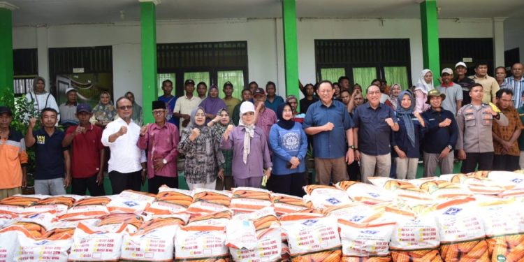 Pemprov Gorontalo Distribusikan Benih Jagung Senilai Rp6,4 Miliar