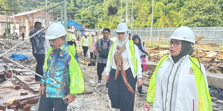 DPR RI Tekankan Pentingnya Revitalisasi RSUD Raja Ampat Menjadi RS Kelas C