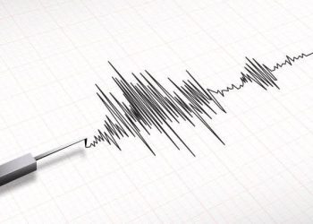 Gempa Magnitudo 3,9 Mengguncang Gunung Kidul, DIY