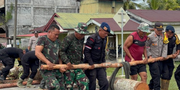 Kolaborasi TNI, Polri, dan Warga Bangun Jembatan Darurat di Aceh Singkil