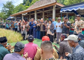 Kapolresta Sleman Hadiri Panen Raya Padi HMS700, Dukung Ketahanan Pangan