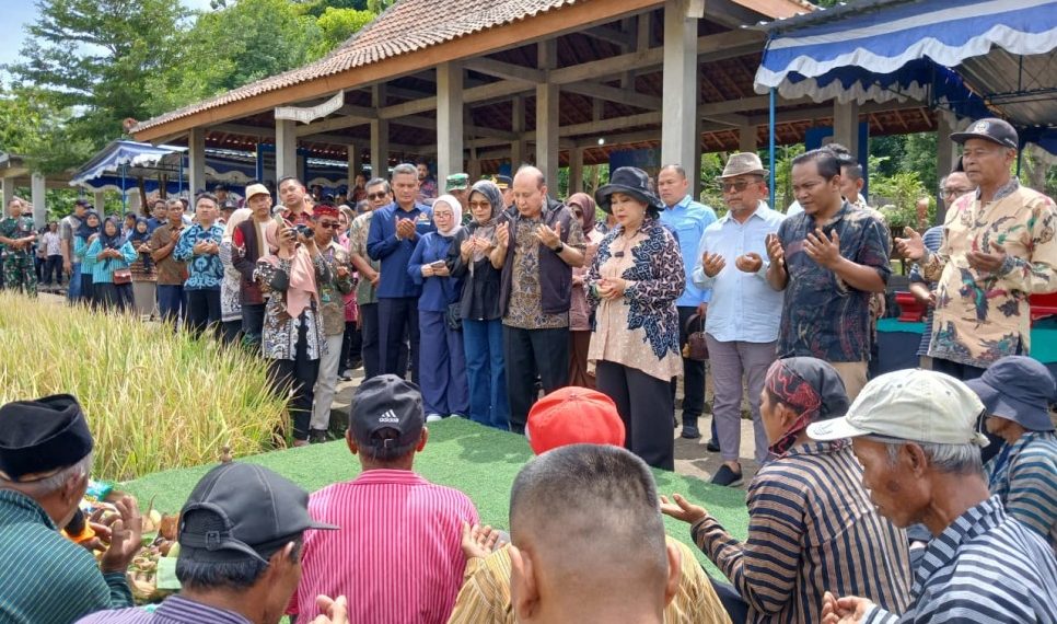Kapolresta Sleman Hadiri Panen Raya Padi HMS700, Dukung Ketahanan Pangan
