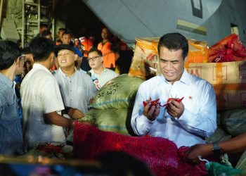 Pemerintah Serap 15 Ton Cabai Aceh untuk Stabilkan Harga Jelang Nataru