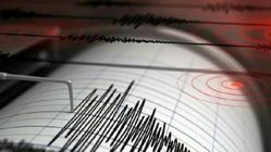Gempa Magnitudo 3,3 Guncang Wilayah Gunung Kidul, DIY