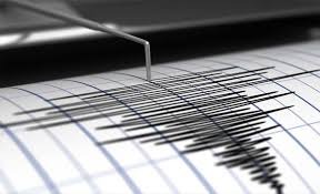 Gempa Magnitudo 4,8 Mengguncang Wilayah Buru, Maluku