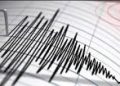 Gempa Magnitudo 3,3 Guncang Wilayah Buru Selatan, Maluku