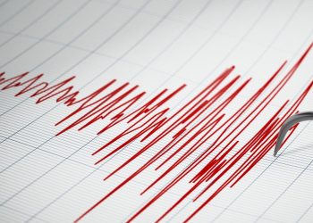 Gempa Magnitudo 3,6 Guncang Wilayah Buru, Maluku