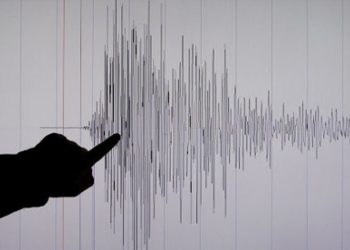 Gempa Magnitudo 4.0 Mengguncang Sarmi, Papua