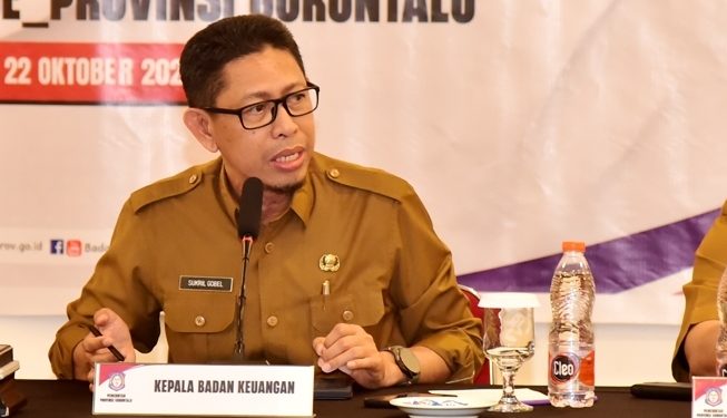 Mendagri Puji Pencapaian Keuangan Provinsi Gorontalo