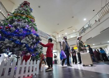 10,11 Juta Penumpang Gunakan Angkutan Umum Selama Nataru 2025/2026