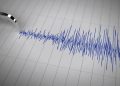 Gempa Magnitudo 3.1 Guncang Wilayah Keerom, Papua